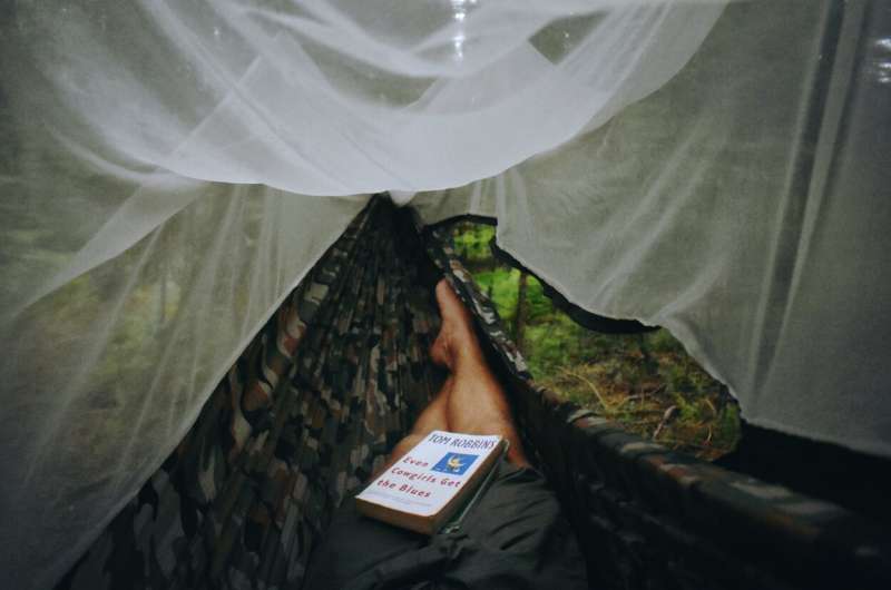 New types of mosquito bed nets could cut malaria risk by up to half, trial finds