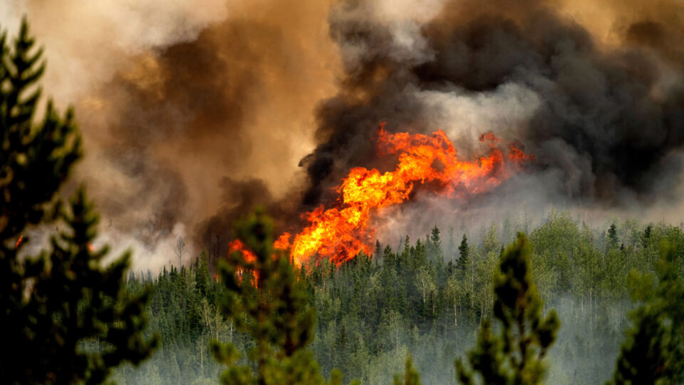 Canada’s 2023 wildfires released more greenhouse gases than most countries