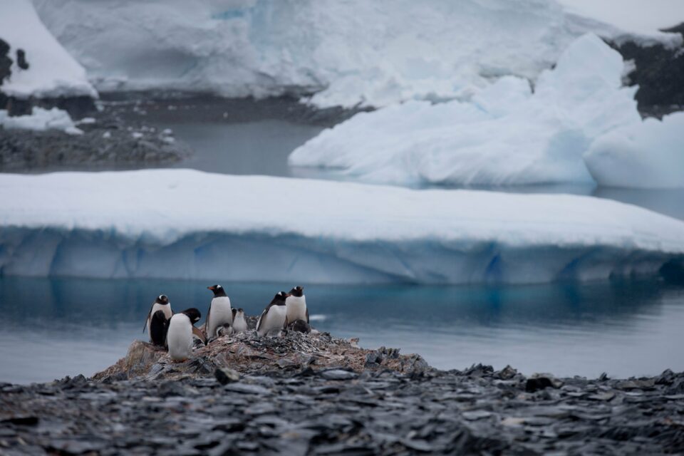 Chilean president makes historic trip to south pole amid Antarctica sovereignty claim