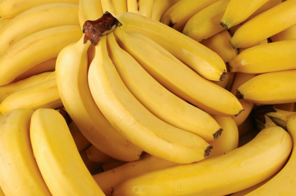 Climate crisis threatens the banana, the world’s most popular fruit, research shows