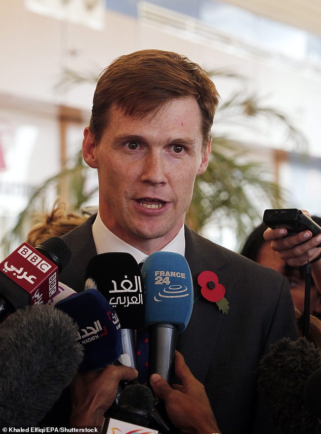 Former ambassador calls on UK to advise citizens against travel to Egypt