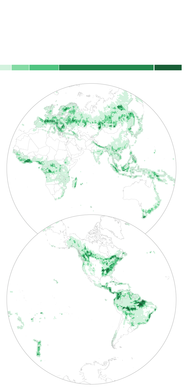 ‘Win-win’: new maps reveal best opportunities for global reforestation
